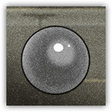 'Certain Fates' Portrait