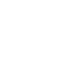 Brawler